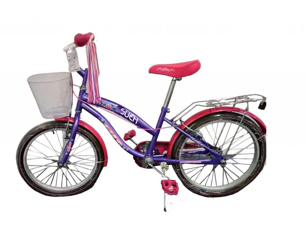 Bicicleta Infantil 01