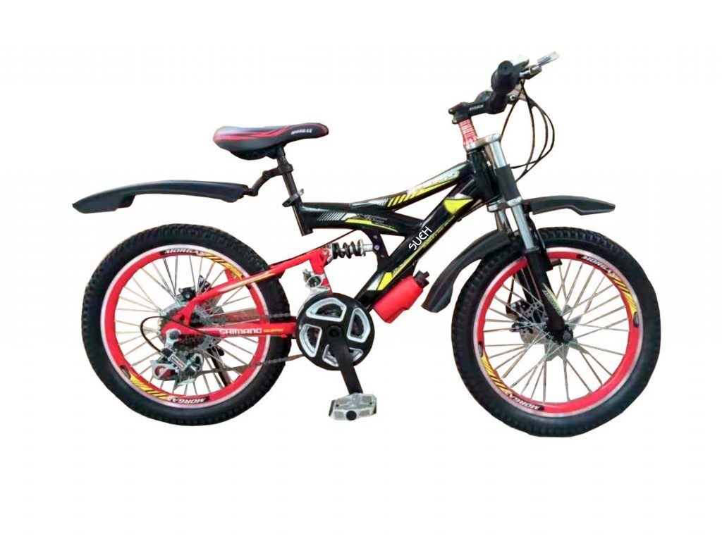 Bicicleta infantil Y1