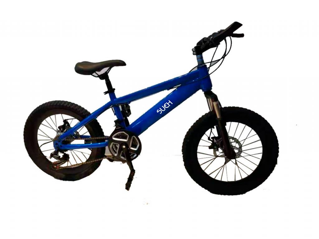 Children's Bicycle V1